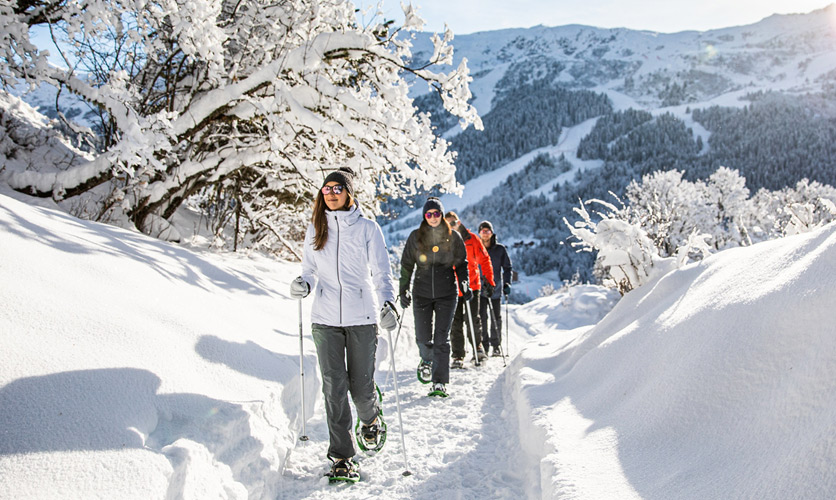 Snow-shoeing in the Alps