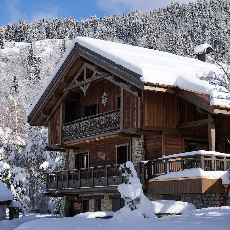 Ski Basics chalet